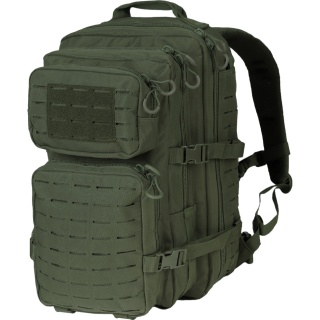 Dominator Plecak taktyczny Warrior 36L Olive